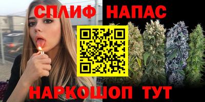 Альфа ПВП Тара