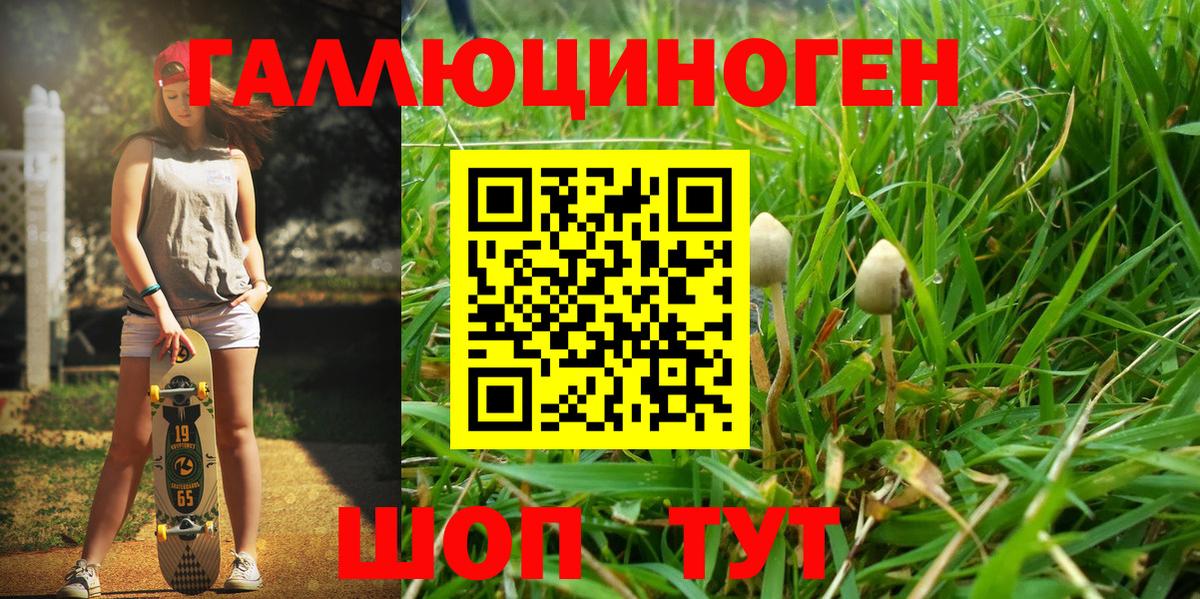 Галлюциногенные грибы Psilocybe  Вход с VPN  Новоалтайск  Галлюциногенные грибы MAGIC MUSHROOMS 
